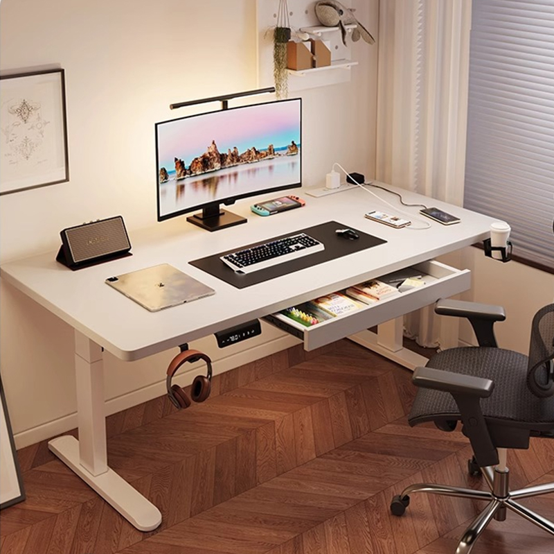 Modern Iron Dual Motor Electri - Setup Desk Monitor recension och pris
