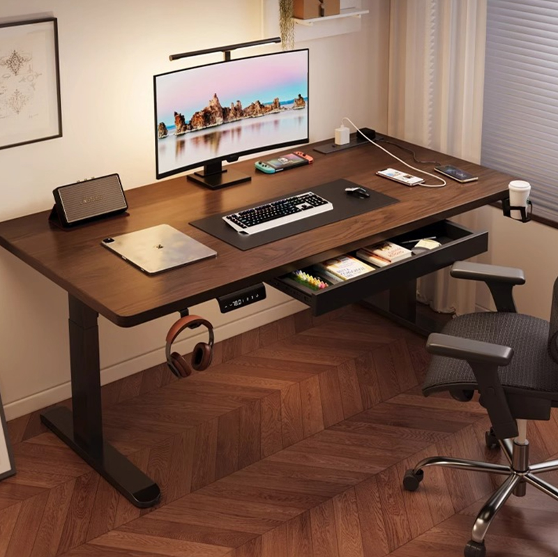 Modern Iron Dual Motor Electri - Setup Desk Monitor recension och pris